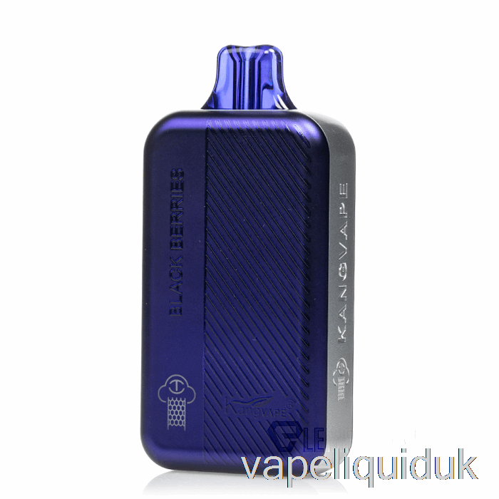 Kangvape TC8000 Disposable Black Berries Vape Liquid